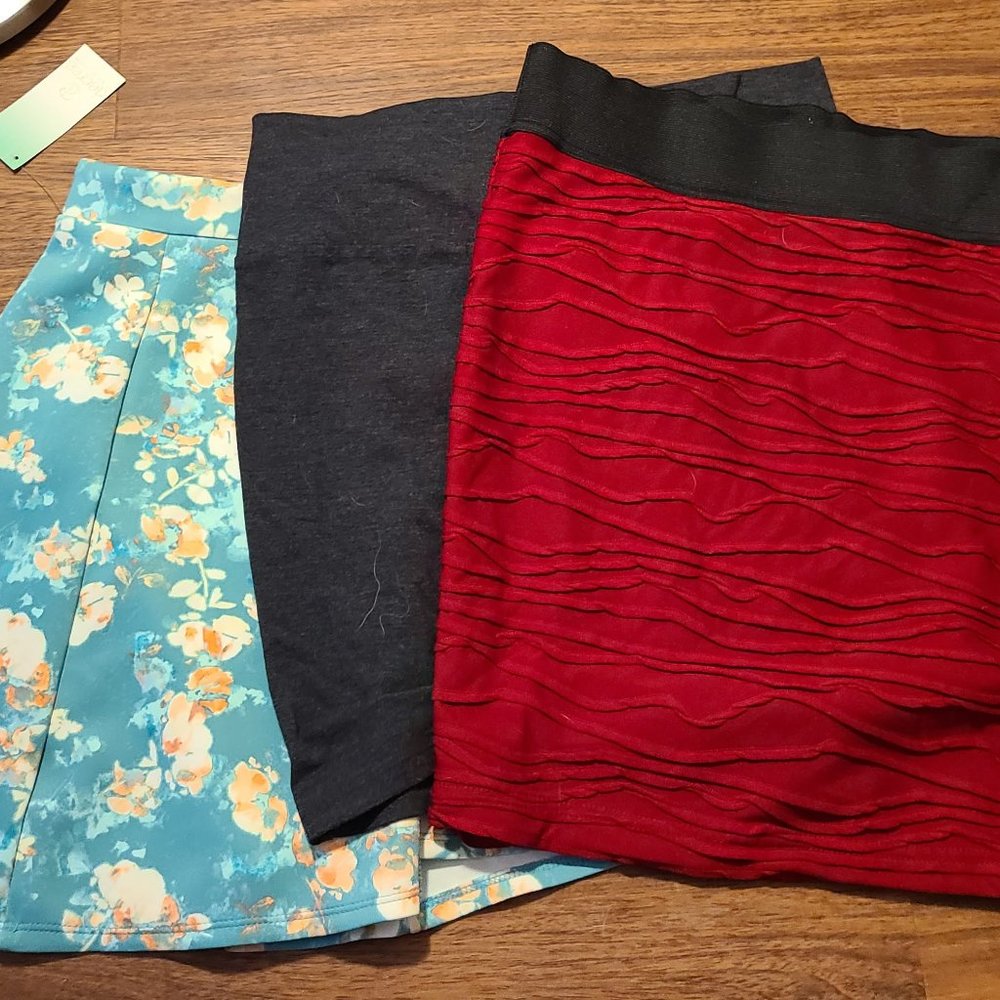 3 Skirt Lot